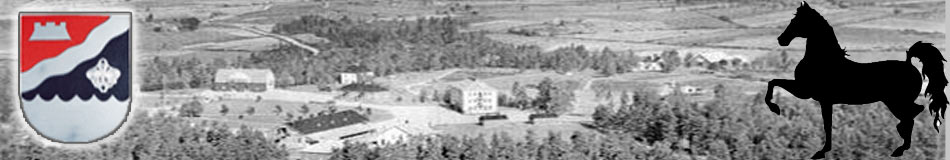 Hiitolan Pitäjäsivut